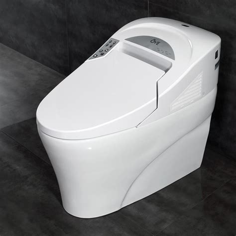The 10 Best Tankless Toilets Sleek Comfortable Efficient Toilet Haven