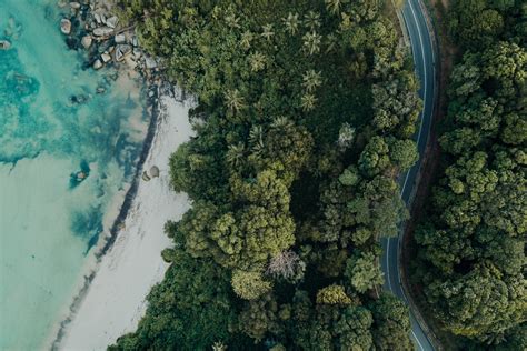 Wallpaper Beach Aerial View Sea Palm Trees Stones Hd Widescreen