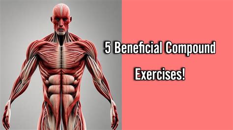 Top 5 Compound Exercises For Strength And Muscle Development Youtube