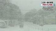 銀白世界《日本大雪話題照片集》貓咪第一次看到雪花超好奇…… | 宅宅新聞