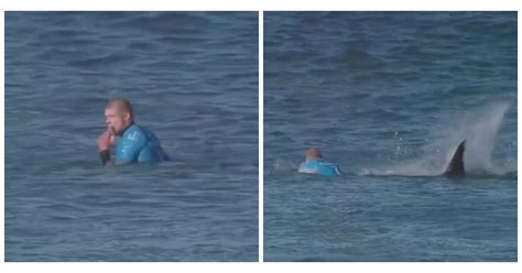 Flippant un surfeur attaqué par un requin en direct à la télé pendant