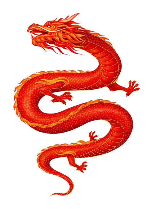 Dragon Chinese Dragon Art Chinese Dragon Red Chinese Dragon