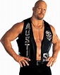 Stone Cold Steve Austin | WWE Wiki | Fandom powered by Wikia