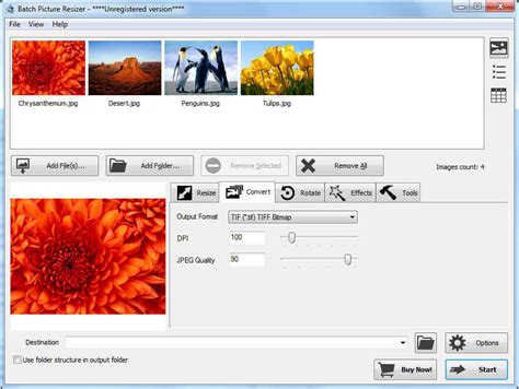 Batch Picture Resizer Download For Free Softdeluxe