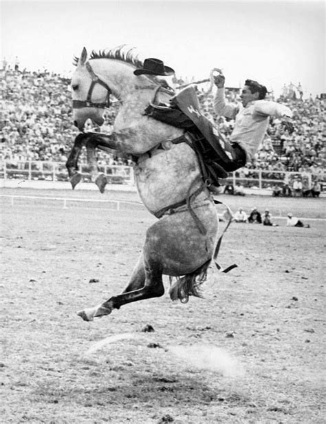 Rodeo Cowboys Rodeo Horses Real Cowboys Cowboys Today Cowboy