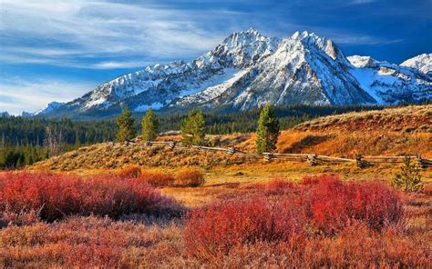Wallpaper Landscape Colorful Forest Fall Mountains Nature Grass