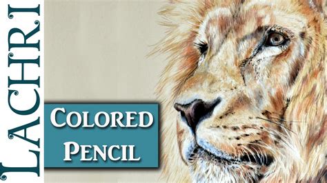 Feel free to explore, study and enjoy paintings with paintingvalley.com. Drawing a Lion in Colored Pencil w/ Lachri - YouTube