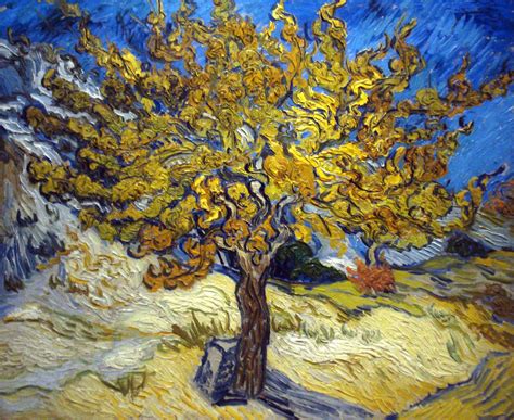 Van Goghs Blossoming Trees Tales By Trees