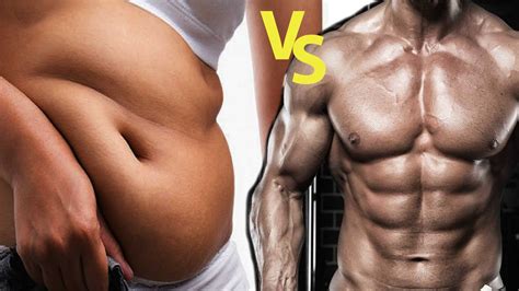 Benefits And Side Effects Fat Vs Muscle Size And Weight