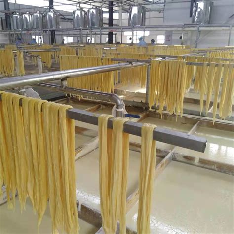 New Best Selling Yuba Fuzhu Soybean Stick products,China New Best Selling Yuba Fuzhu Soybean 