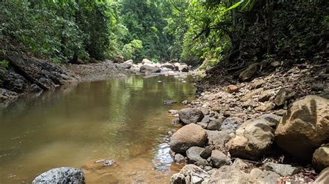 Catarata Bijagual Jacó Aktuelle 2020 Lohnt Es Sich Mit Fotos