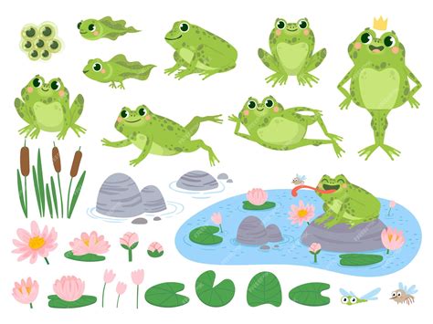 Premium Vector Cartoon Frogs Green Cute Frog Egg Masses Tadpole
