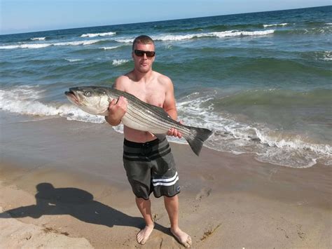 Surfland Bait And Tackle Plum Island Fishing September Weekly