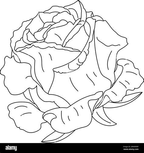 Vector Rose Flower Clip Art Coloring Book Page Stock Vector Image And Art