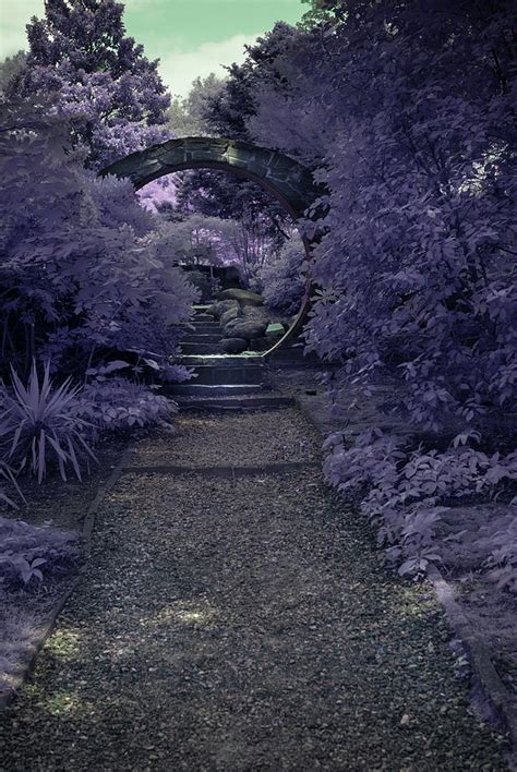 Sacred Path Photograph By Paul Mangold Fine Art America