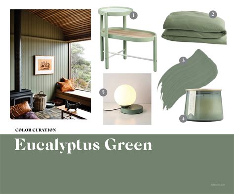 Color Curation Eucalyptus Green The Shade Youll Be Seeing Everywhere