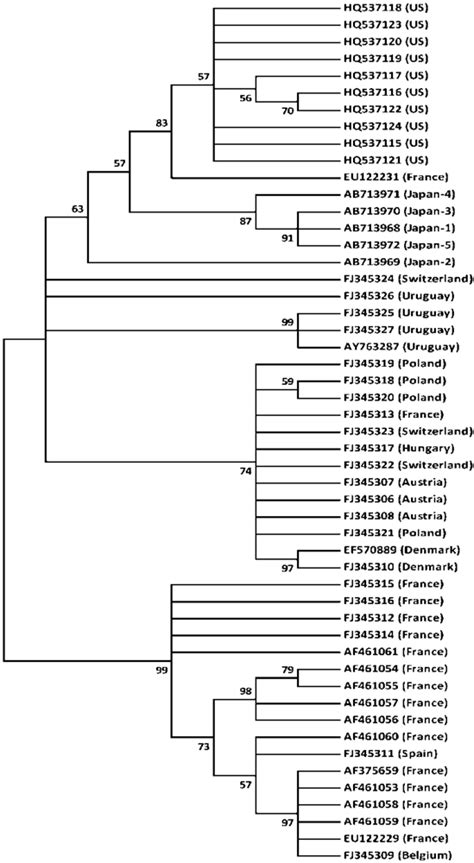 Viruses Free Full Text Molecular Identification Of Chronic Bee