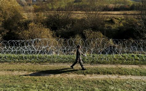 Eu Refugee Border Fences Harm Wildlife