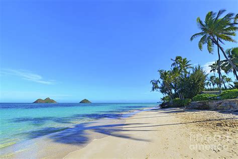 Lanikai Beach End With Palm Shadows Photograph By Aloha Art Fine Art