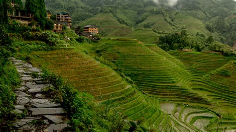 Dazhai Village And The Longji Rice Terraces Tweet World Traveltweet