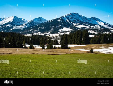 Idyllic Landscape In The Alps With Fresh Green Meadows Stock Photo Alamy