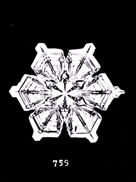 The First Snowflake Photographs