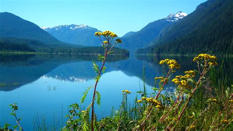 Buttle Lake Vancouver Island Scenic Photography Scenic Natural