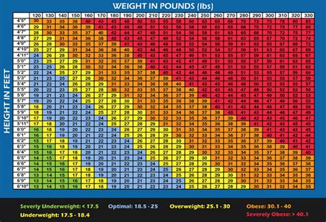 Body Fat Percentage Chart Weight And Height Sexiz Pix