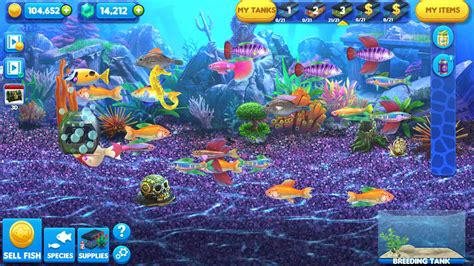 The 5 Best Fish Games On Pc