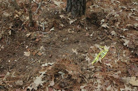 Human Skull Found In Wooded Area Off Of Hwy