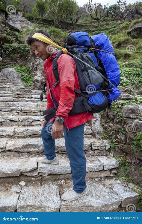 Nepalese Porter Carrying Heavy Load Editorial Stock Photo Image Of