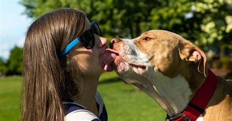 Nationalhymne Töten Ungeschickt Tongue Kiss With Dog Entsorgt
