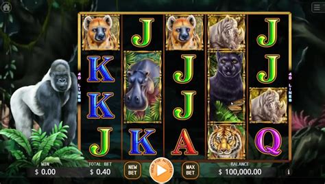 Wild Jungle Slot Review Demo And Free Play Rtp Check