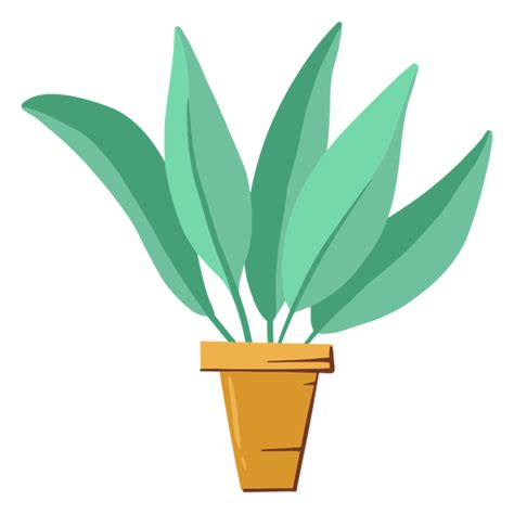 Houseplant Hand Drawn Transparent Png Svg Vector File