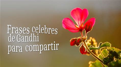 Frases Celebres Sobre La Vida Frase Celebre Sobre La