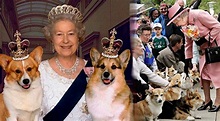 Reina Isabel II: cuántos perros ha tenido la monarca en toda su vida y ...