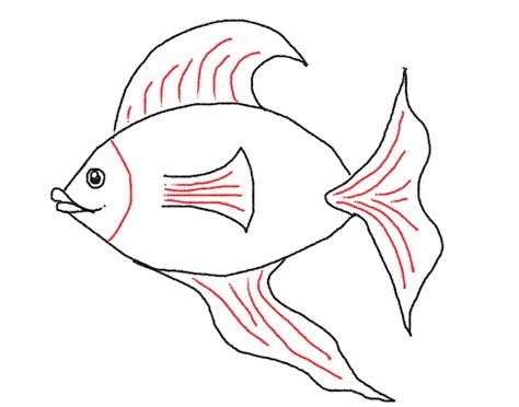 How To Draw A Fish Easy Drawing Tutorial