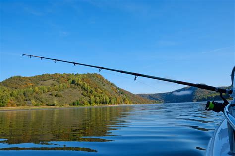 La técnica de pesca definitiva actualizado en 2022 2023