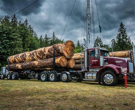 2004 Kenworth T800 Logging Truck For Sale 759000 Miles Lake Stevens