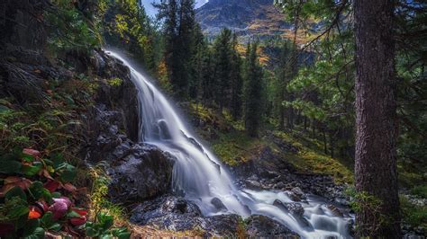 Russia Forest And Waterfall Around Trees Hd Nature