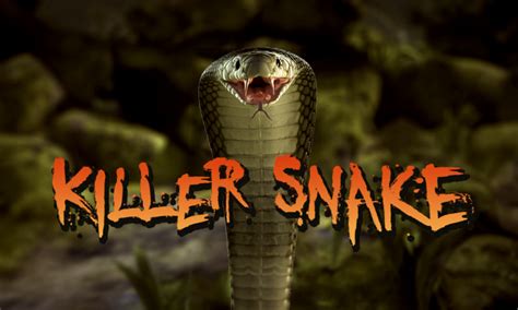 ‎app Store에서 제공하는 Killer Snake