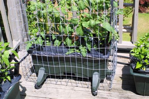 The Indestructible Earthbox Tomato Cage Gardening And The Outsiden