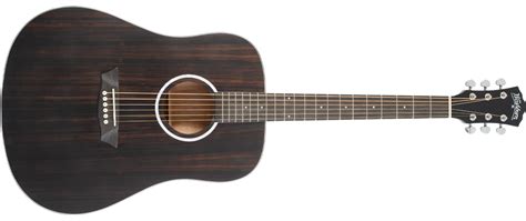 Washburn Deep Forest Ebony Acoustic Guitar Striped Ebony 801128002408