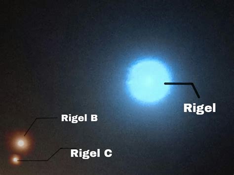 What We Need To Know About Rigel Star