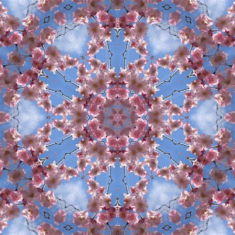 Flower Kaleidoscope 4 Free Stock Photo Public Domain Pictures