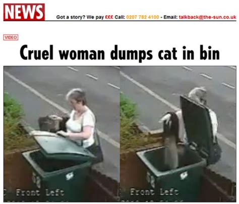 Woman Dumps Cat In Garbage Becomes Internet Villain