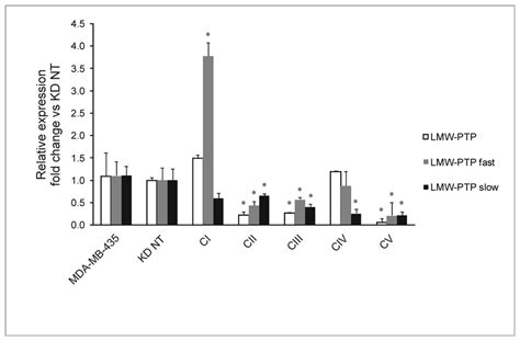 Relative Expression Of Lmw Ptp And Its Fast And Slow Isoforms On The