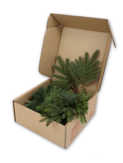 Plan Your Holiday Décor With Our Branch Sample Kit Balsam Hill