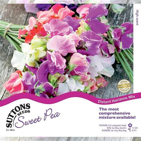 Sweet Pea Seeds Distant Horizons Suttons