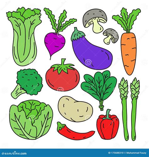 Conjunto De Ilustraciones Vectoriales Vegetales En Estilo Dibujado A